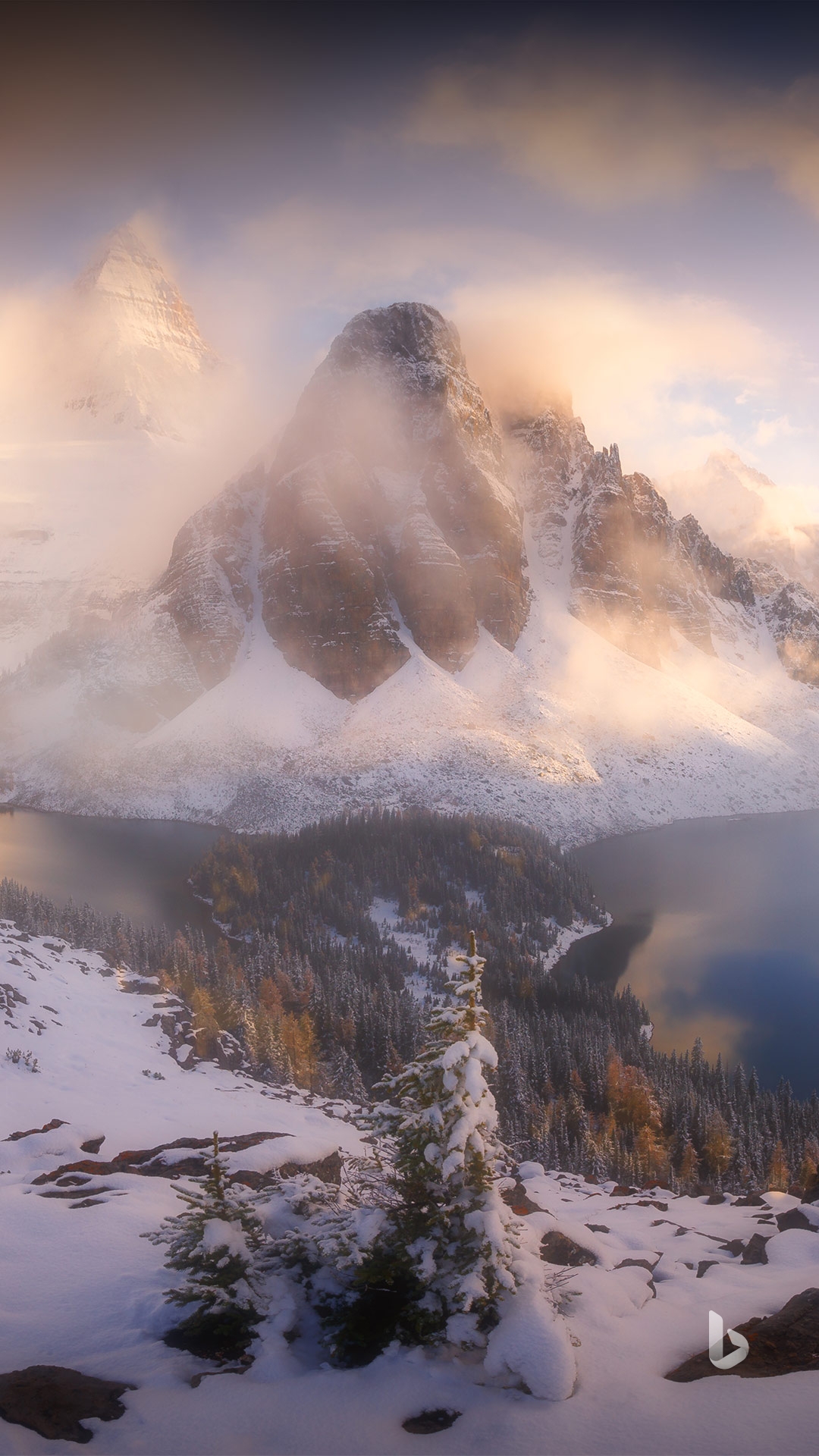 large picture of the cover